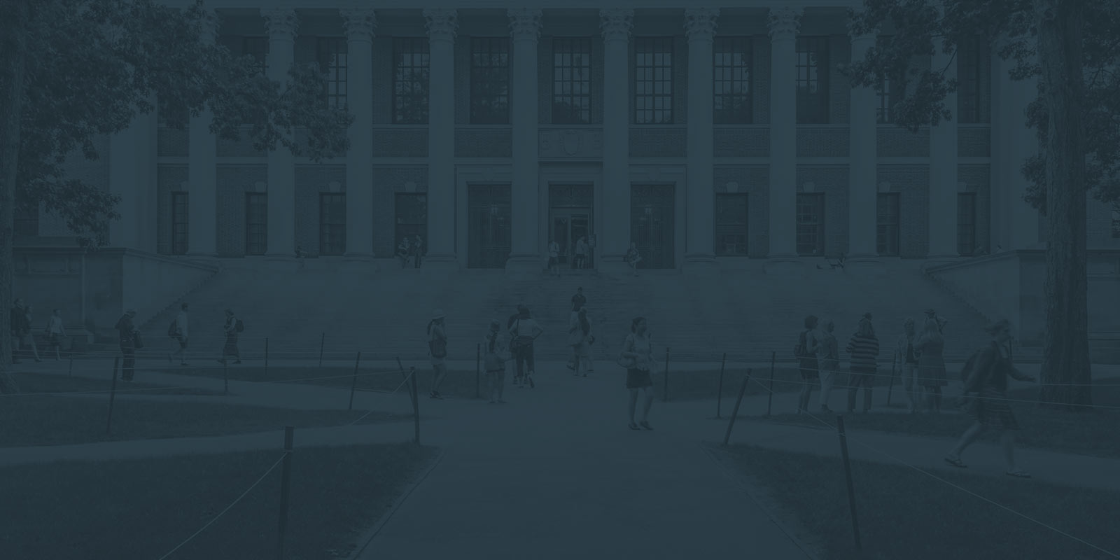 Say Hello to BAU Executive Education